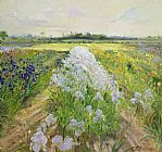 Timothy Easton Down the Line