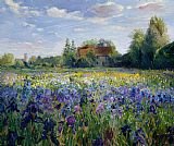 Timothy Easton Evening at the Iris Field
