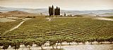 Trevor Neal Tree Circle - Tuscany