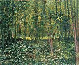 Vincent van Gogh Trees and Undergrowth