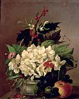 Willem van Leen Christmas Roses