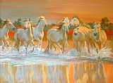 William Ireland Camargue